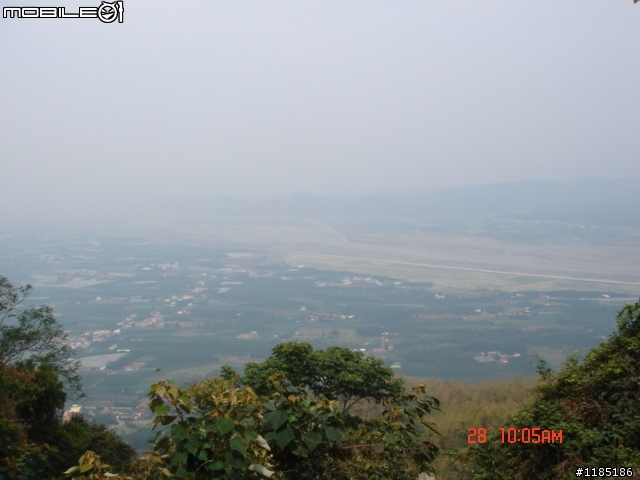 高雄-尾寮山 雲林-古坑 台東-池上 桐花遊