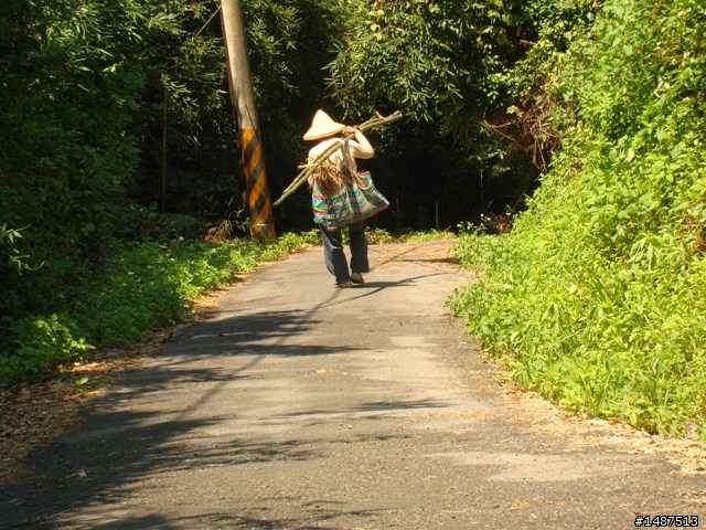 我知道我老了....慘...差點跟[小三]掛在新竹芎林的"三段崎"古道..