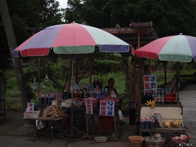 中寮山小徑爬山之旅
