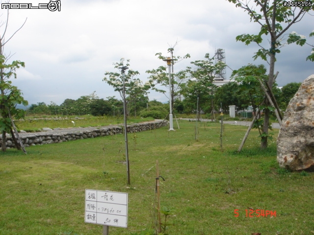 高雄-尾寮山 雲林-古坑 台東-池上 桐花遊