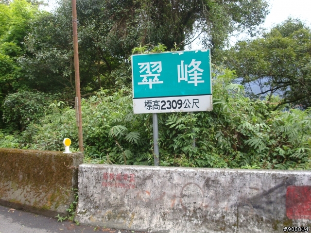 終於逼自己用公路車從埔里爬上武嶺....