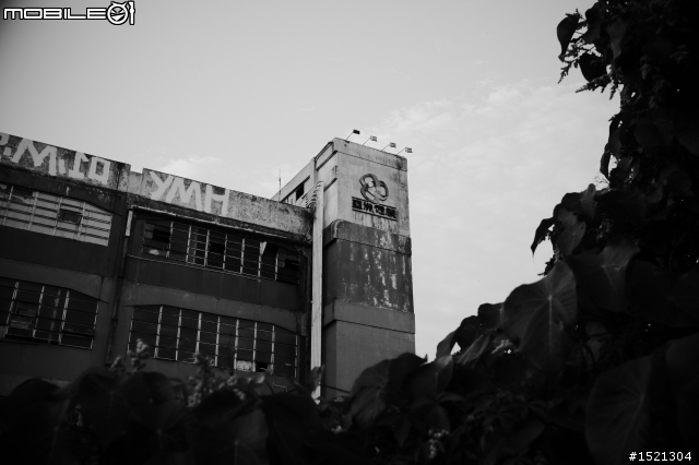 X100 與 DP2