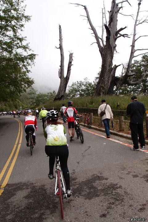 [分享]2011NS探索新中橫塔塔加相片