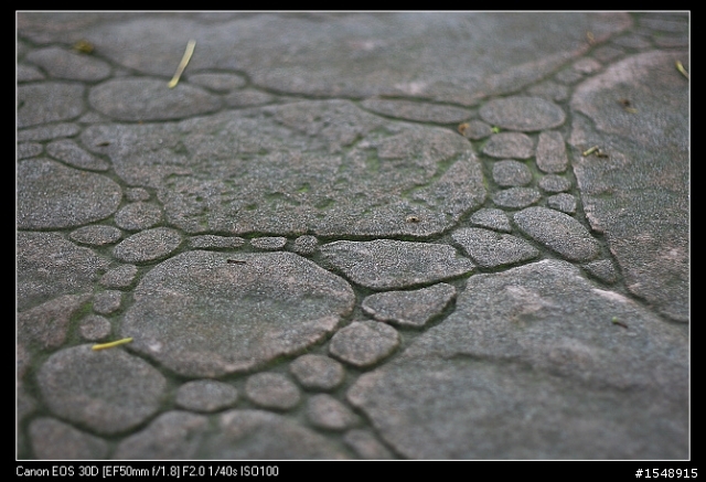 雙機流~我的Canon DSLR新手之路
