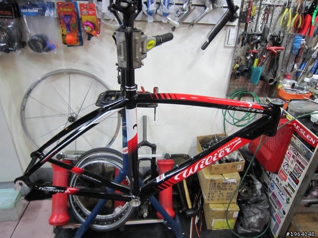 我的人生第一台公路車!(WILIER LA TRIESTINA)