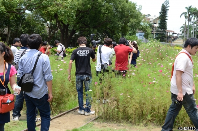 新手上路之橋頭糖廠初次外拍