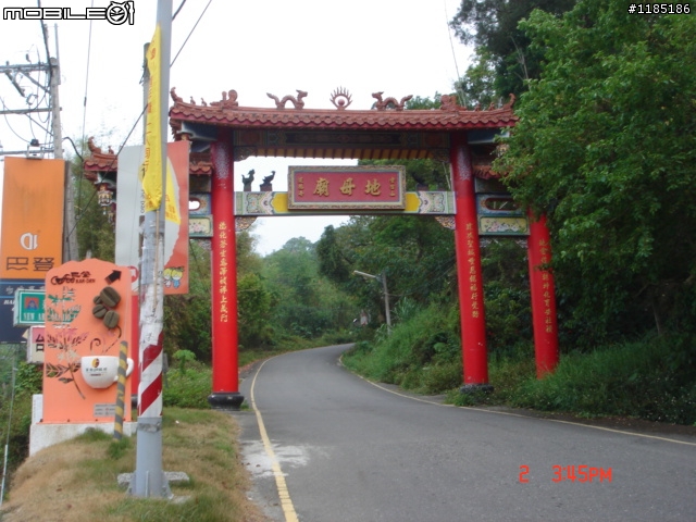 高雄-尾寮山 雲林-古坑 台東-池上 桐花遊
