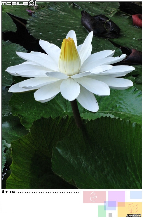 (照片)5/21湖山水庫輕鬆騎