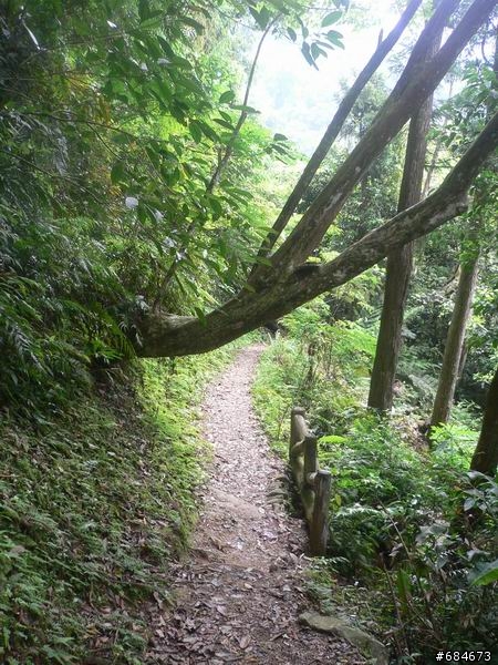精靈的秘境-烏來內洞林道