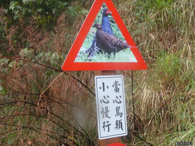 2011.5.1大雪山挑戰賽番外又一篇(轉山首部曲)