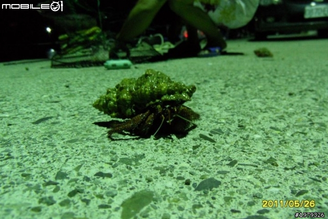 WB600~菜鳥貼照~新手試貼傷眼勿怪