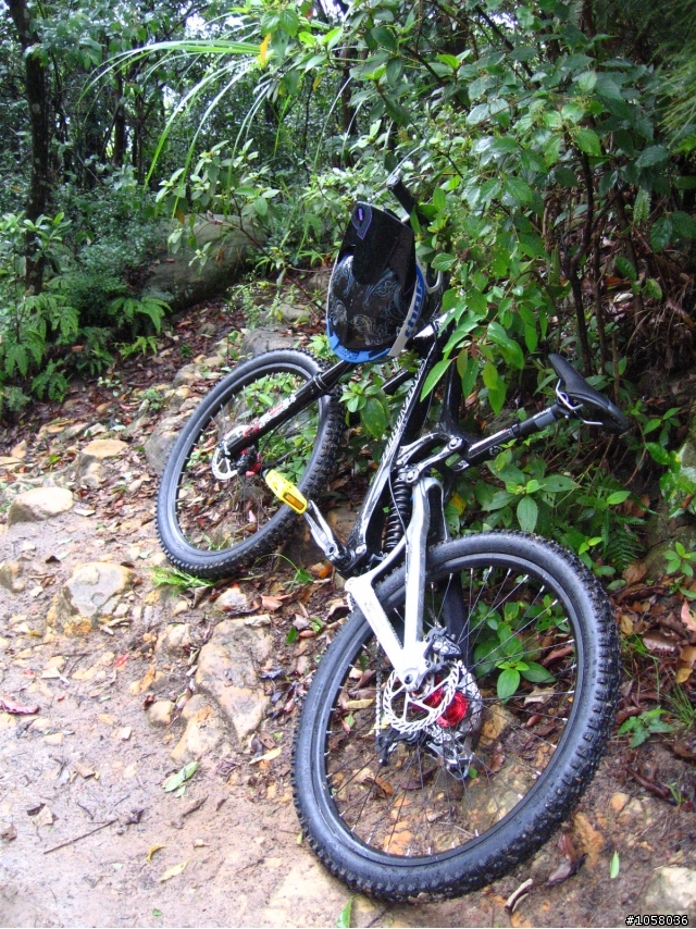 SANTA CRUZ V10.4