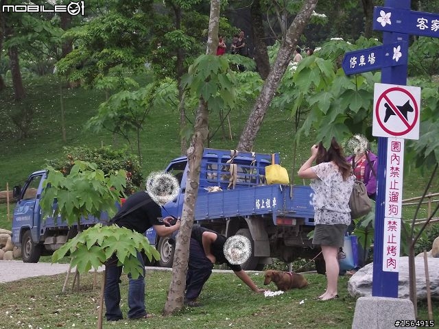 客家大院.油桐花.(外加高難度動作圖片.限制級)