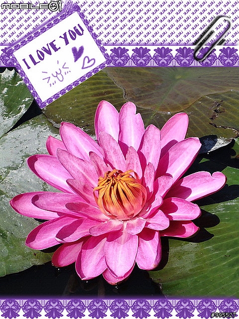 (照片)5/21湖山水庫輕鬆騎