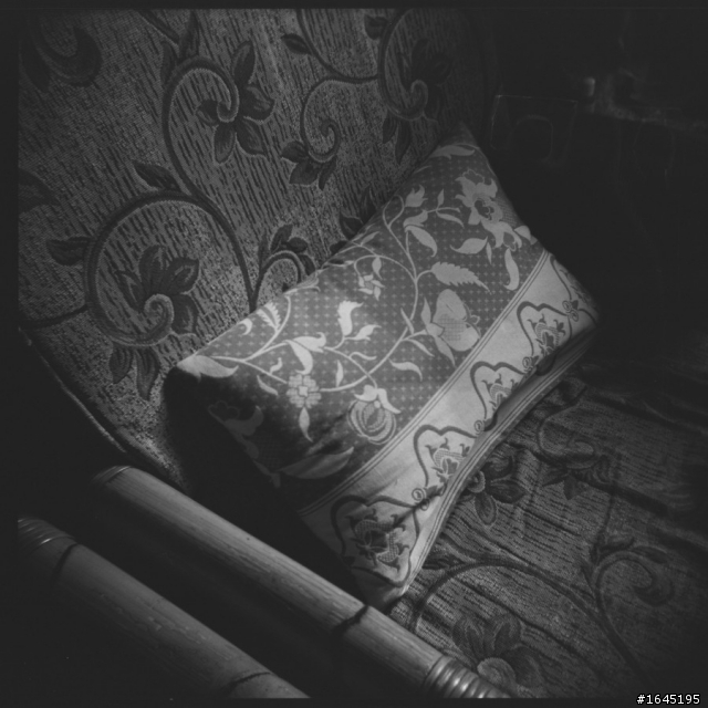 45樓新增彩負拍攝成果--非腦袋派之 HOLGA 120GCFN 開箱 + 第一卷成果