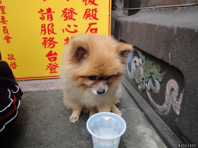 14年電梯大樓"簡約木頭窄房".....