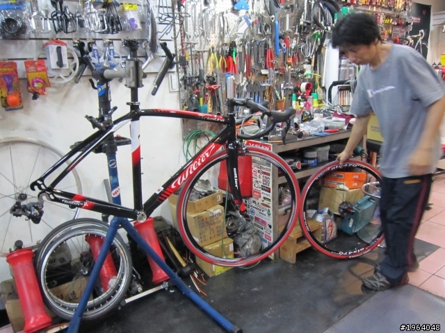 我的人生第一台公路車!(WILIER LA TRIESTINA)