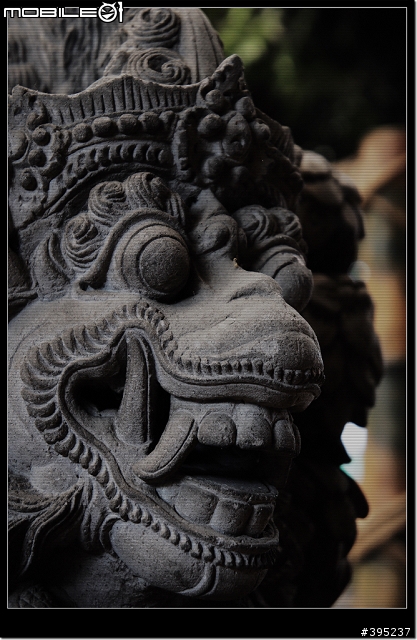 SONY NEX-5 印尼發現之旅(圖多)