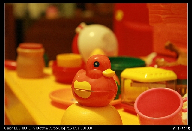 雙機流~我的Canon DSLR新手之路