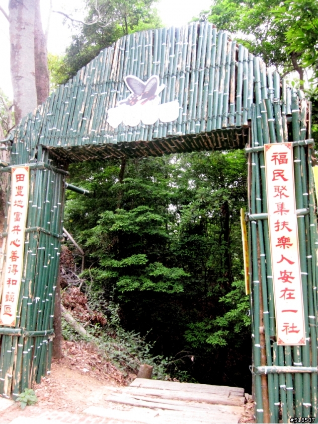 彰化．福田．一個人的桐花祭