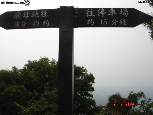 高雄-尾寮山 雲林-古坑 台東-池上 桐花遊