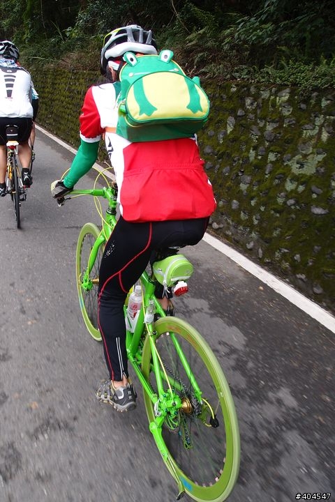 [分享]2011NS探索新中橫塔塔加相片