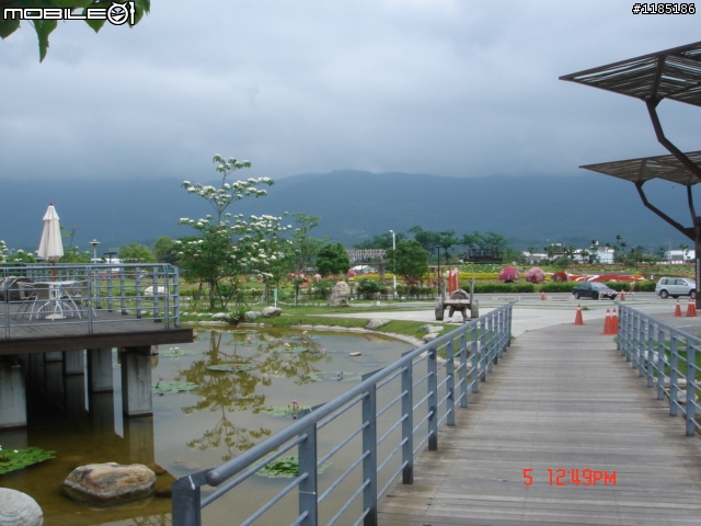高雄-尾寮山 雲林-古坑 台東-池上 桐花遊