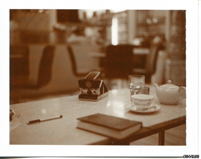 [開箱+實拍] Polaroid 195 Land Camare拍立得相機