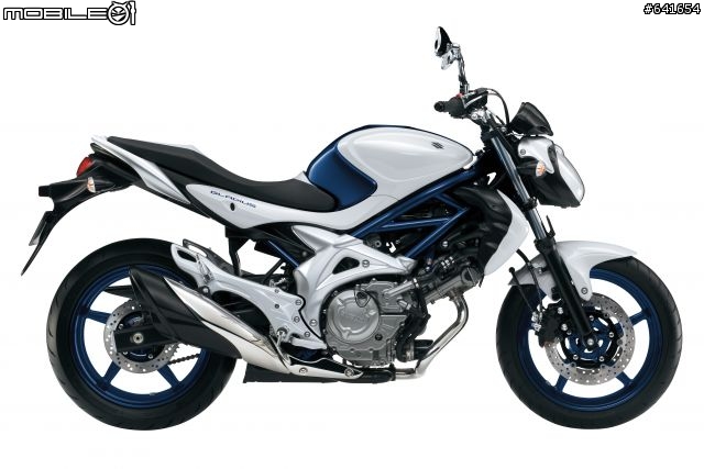 【開箱】古羅馬寶石藍配劍 SUZUKI Gladius SFV650