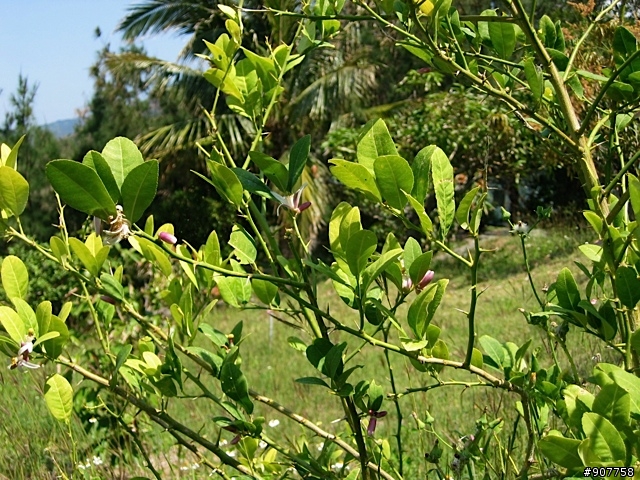 坐山觀海的山中小居 （全文完）