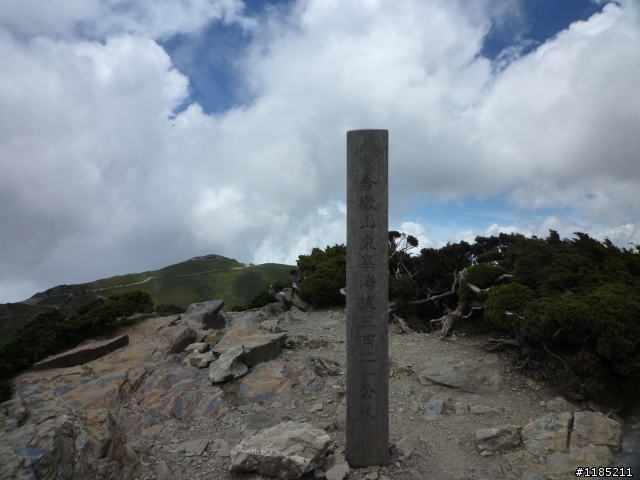 今年夏天騎機車帶丁小兔上合歡山看玉山杜鵑花