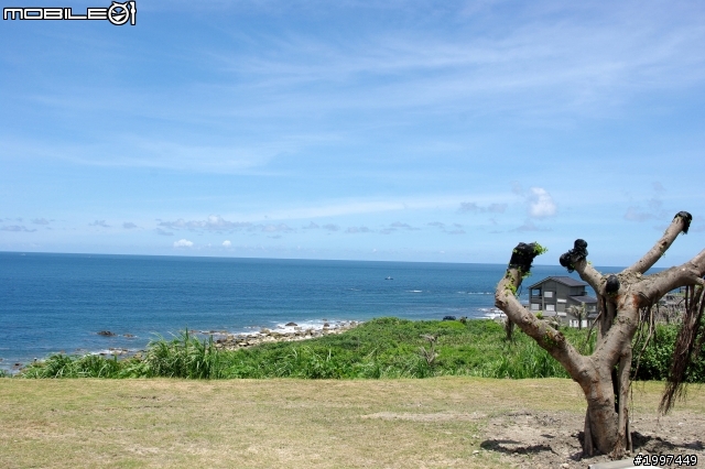 我是小白~ 小白的半島之旅~~已全部更新完