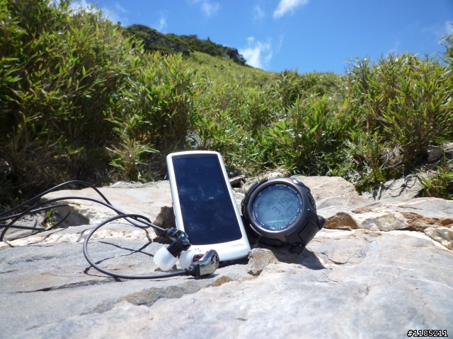 今年夏天騎機車帶丁小兔上合歡山看玉山杜鵑花