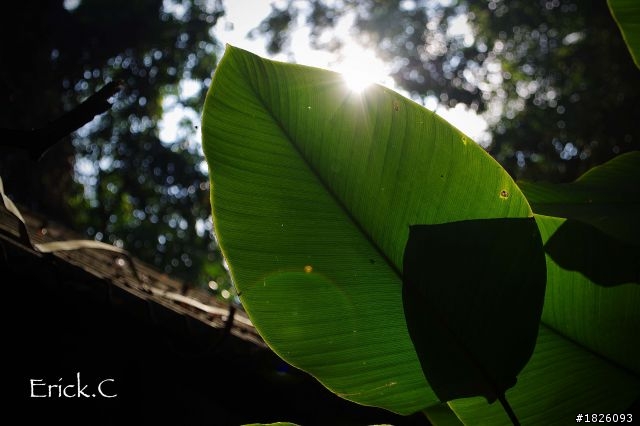 慶祝小弟敗入kr滿半年了，快門破12k，放點照片，求拍。。。