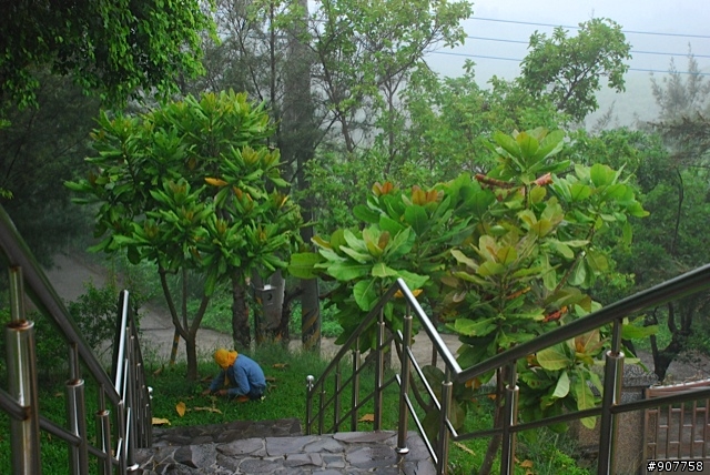 坐山觀海的山中小居 （全文完）