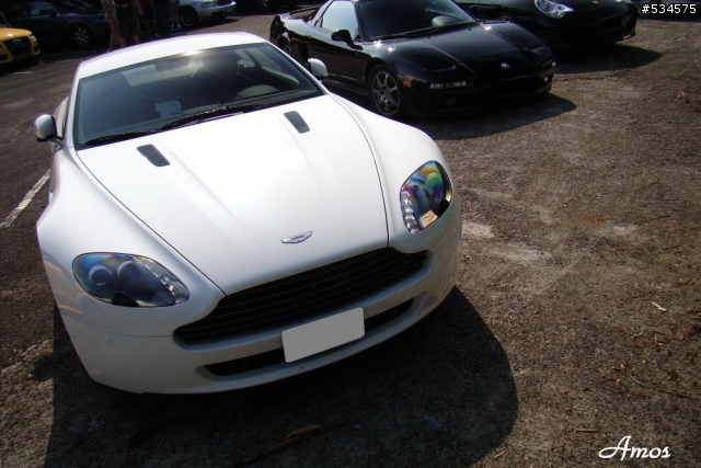 早起的鳥兒有蟲吃(圖有點多)