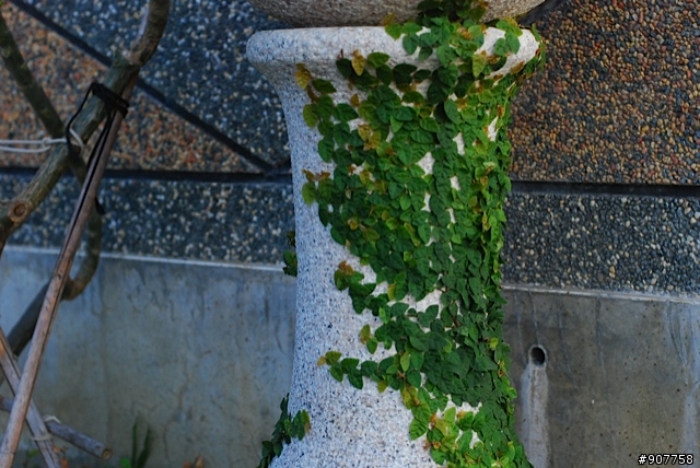 坐山觀海的山中小居 （全文完）