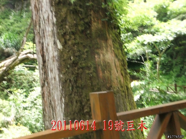 20110614  拉拉山福巴越嶺古道福山自行車之旅
