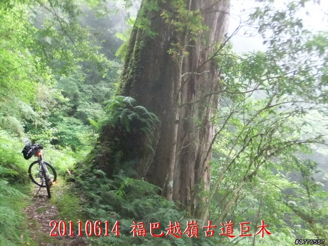 20110614  拉拉山福巴越嶺古道福山自行車之旅