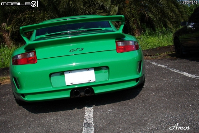 早起的鳥兒有蟲吃(圖有點多)