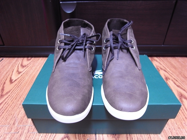 分享一下LACOSTE