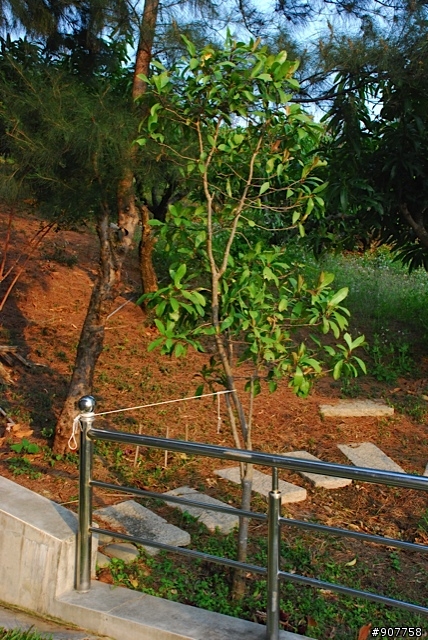 坐山觀海的山中小居 （全文完）