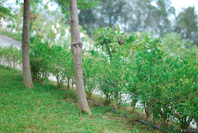 坐山觀海的山中小居 （全文完）