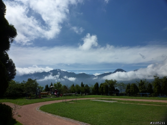 今年夏天騎機車帶丁小兔上合歡山看玉山杜鵑花