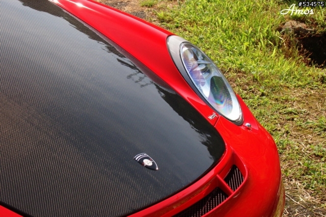 早起的鳥兒有蟲吃(圖有點多)