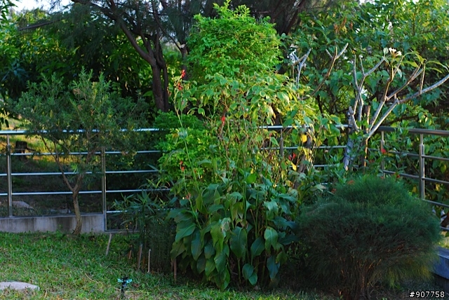 坐山觀海的山中小居 （全文完）