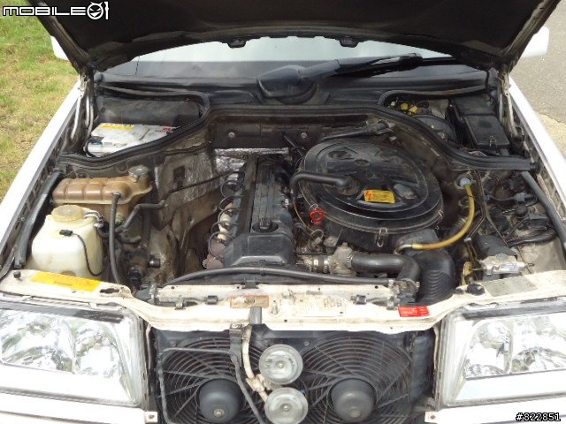一篇六年級後段班爸爸圓夢的開箱文,W124!!!!!!