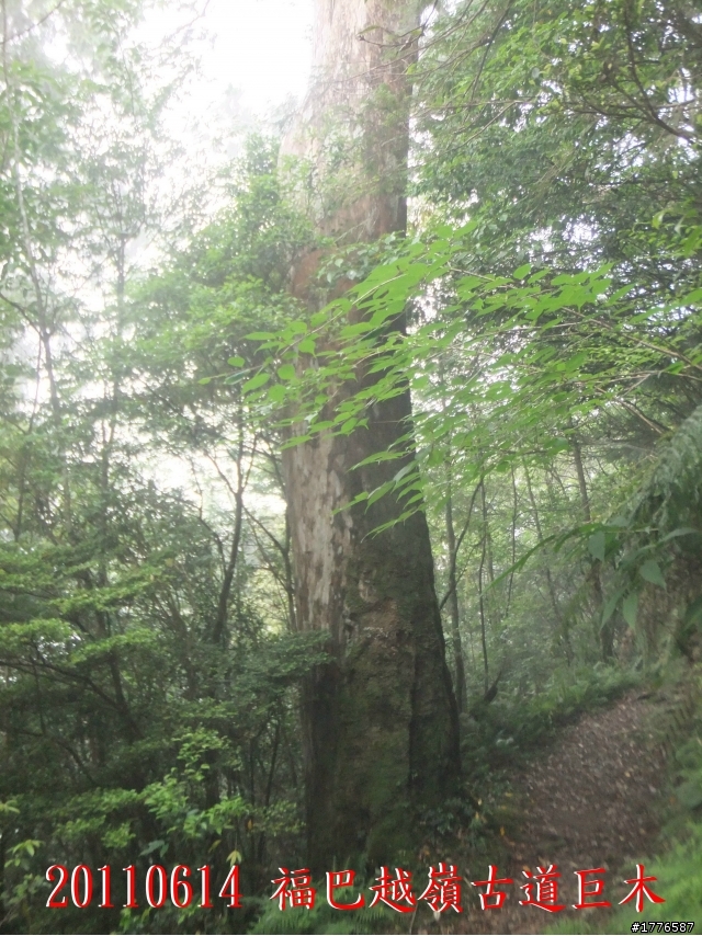 20110614  拉拉山福巴越嶺古道福山自行車之旅