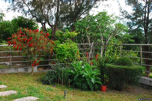 坐山觀海的山中小居 （全文完）
