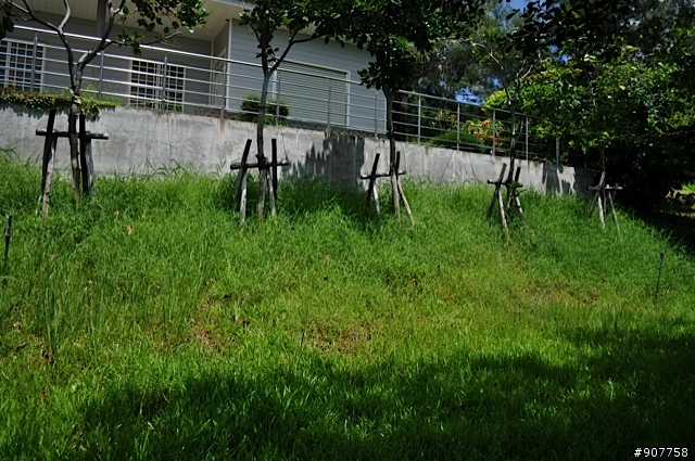 坐山觀海的山中小居 （全文完）